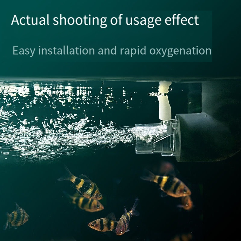 Filter Pipa Penyebar Oksigen D - Aquarium Fish Without Oxygen ulasan dan harga