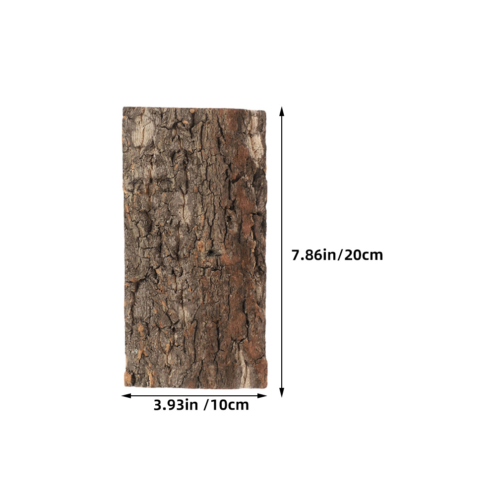 3 Buah Kulit Gabus untuk Latar - Aquarium Fish Background ulasan dan harga