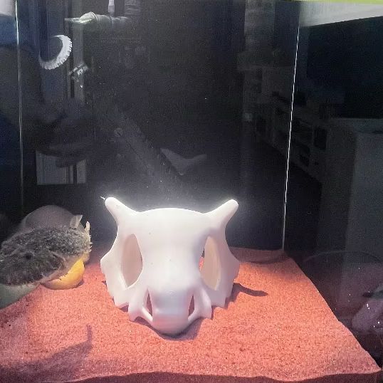 Tempat Persembunyian Tersembun - Aquarium Fish Hide ulasan dan harga