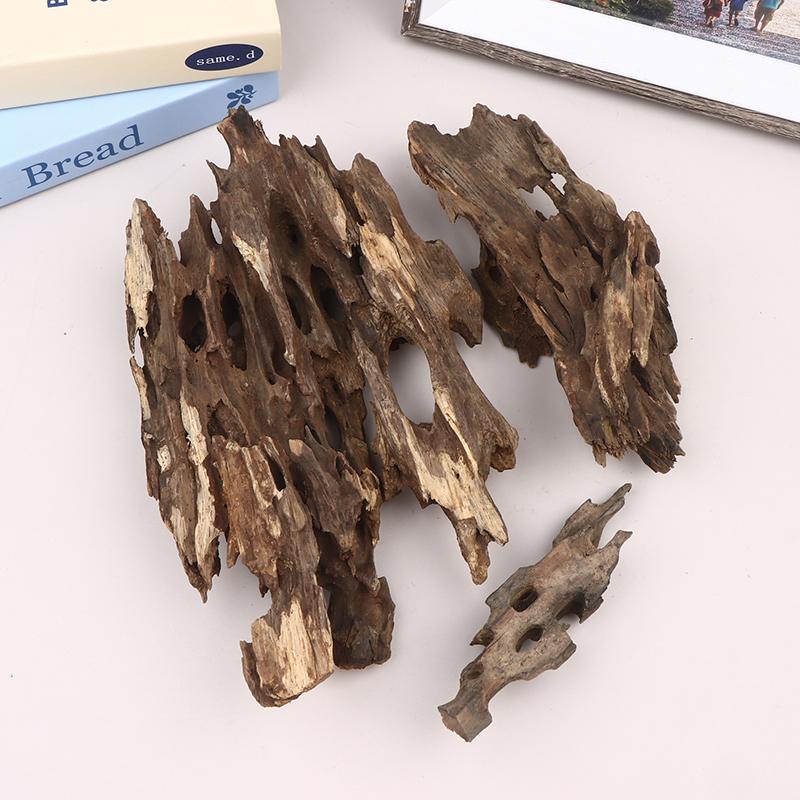 △   Dekorasi Akuarium Kayu Uda - Aquarium Fish For Sale Online ulasan dan harga