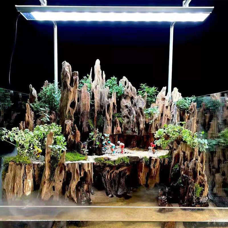 △   Dekorasi Akuarium Kayu Uda - Aquarium Fish For Sale Online ulasan dan harga