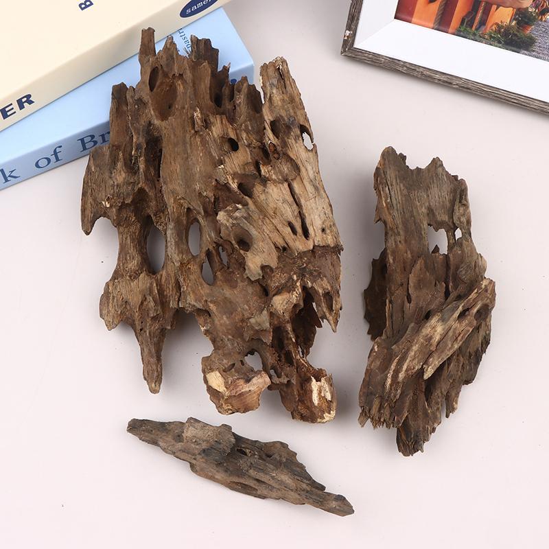 △   Dekorasi Akuarium Kayu Uda - Aquarium Fish For Sale Online ulasan dan harga