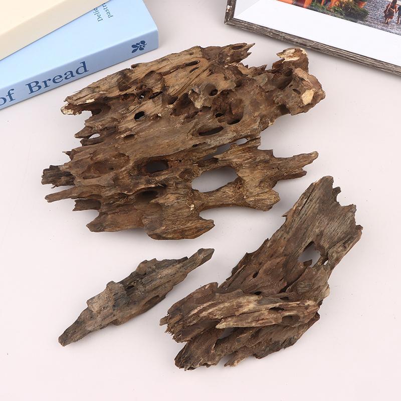△   Dekorasi Akuarium Kayu Uda - Aquarium Fish For Sale Online ulasan dan harga