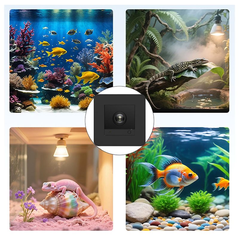 【Penurunan Harga!】 Kamera Akua - Aquarium Fish And Price ulasan dan harga